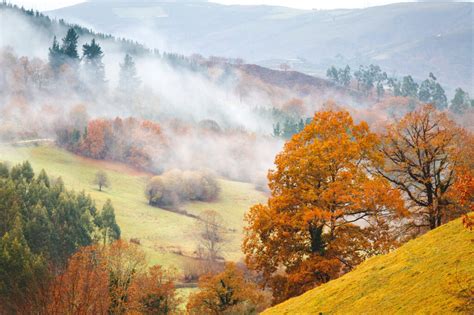 Fall Foliage in the White Mountains, NH | Bretton Woods