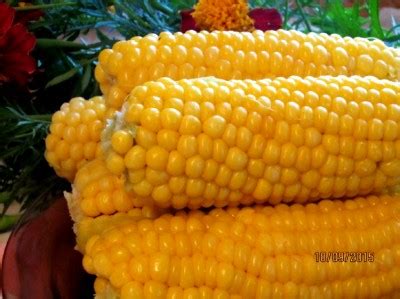 «Вареная кукуруза» : Вторые блюда