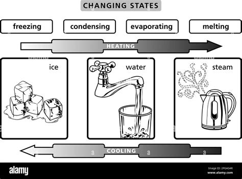 Scientific Illustration Diagram How To Art Work Showing Changing