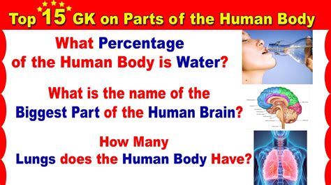 Gk On Parts Of Human Body L Biology Gk In English Science Top 15 Gk