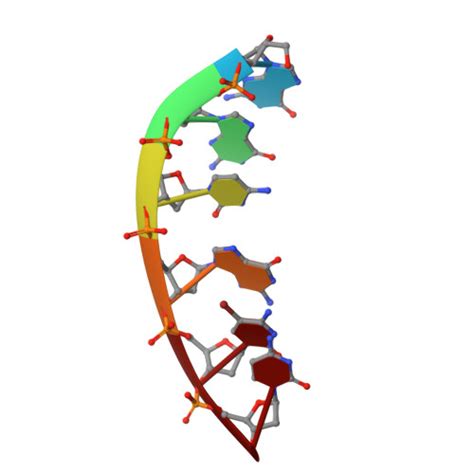 Rcsb Pdb 1f6j Crystal Structure Of The E Dna Hexamer Ggcgbr5cc