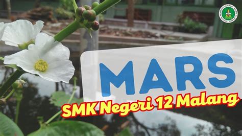 MARS SMK Negeri 12 Malang Dengan Teks Lirik YouTube