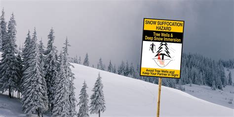 Tips on Tree Well Safety for Skiers & Snowboarders - Ski Utah