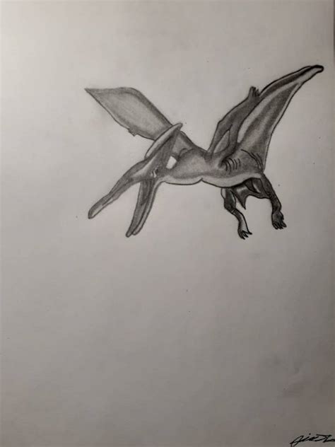 Pterodactyl Drawing by LonelyArtistStudios on DeviantArt