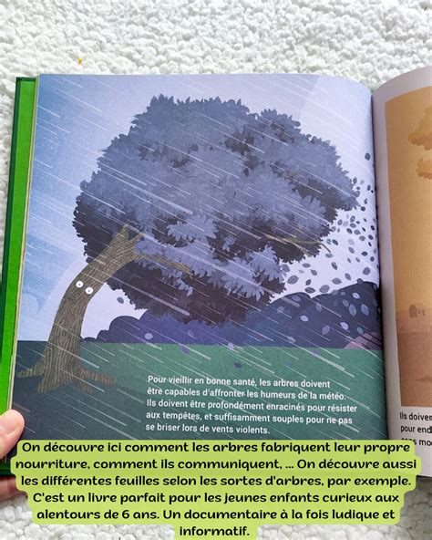 Lextraordinaire Génie Des Arbres Liyah fr Livre enfant Manga