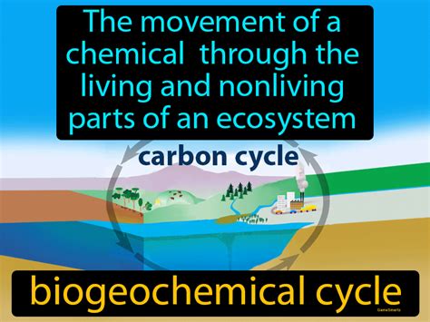 Biogeochemical Cycle Definition Easy To Understand