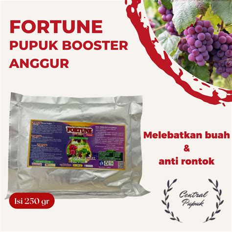 Jual Pupuk Anggur Lengkap Pupuk Anggur Padat Agar Berbuah Lebat Dan