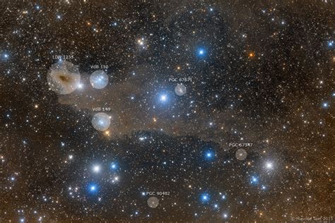 Apod June The Shark Nebula