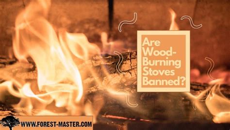 Are Wood Burning Stoves Banned Find Out Here Forest Master