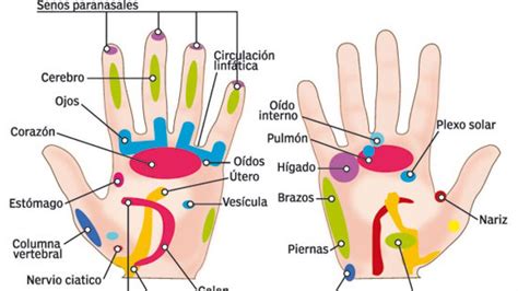 Reflexología El Arte De Curar Por Los Pies Y Las Manos fast euractiv