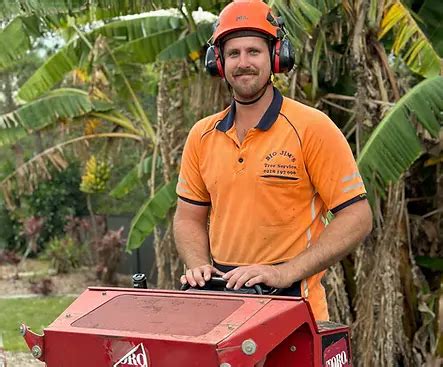 Arborsafe Tree Services Arborist Brisbane Logan Gold Coast