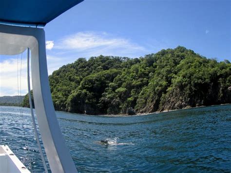 Costa Rica Best Tours Sardinal All You Need To Know Before You Go