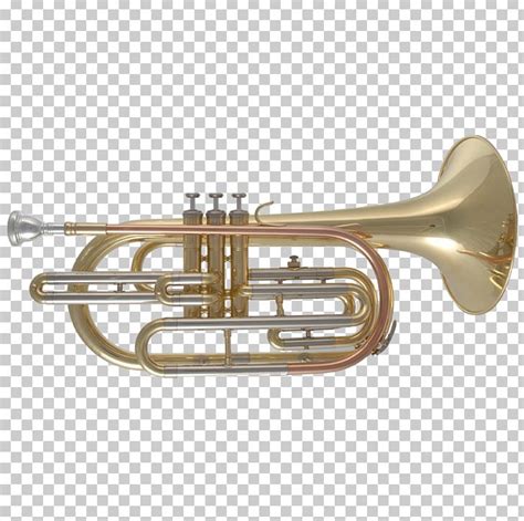 Cornet Trumpet Tenor Horn Mellophone Saxhorn Png Clipart Alto Horn