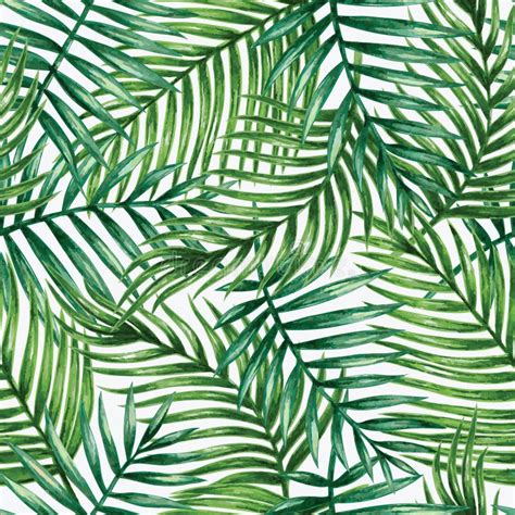 Tropical Pattern Stock Illustrations 491880 Tropical Pattern Stock