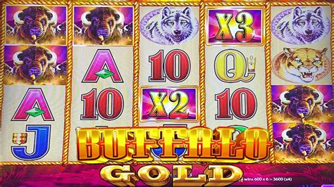 Buffalo Gold Slot Machine Bonus Big Win Aristocrat Slots Youtube