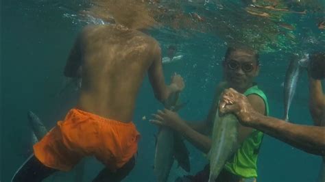 Fish Cage Paugmad Daming Isda Nahuli Fishing Buhayprobinsya Youtube