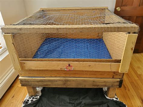 New Brooder Built Pic Heavy Backyard Chickens Learn How To Raise