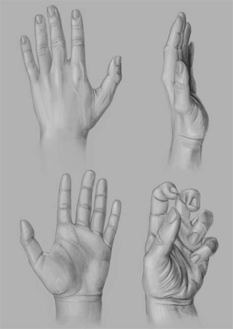 Anatomy-Hands by VMP82 on DeviantArt