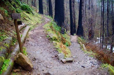 Larch Mountain-Wahkeena Trail Junction - Hiking in Portland, Oregon and ...