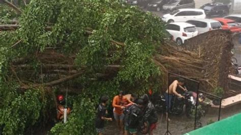 Bogor Diterjang Hujan Badai Dan Angin Kencang Pohon Bertumbangan