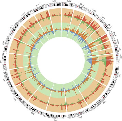 Genome Wide Distribution Of Brain 5hmC Enrichment In Relation To Burden