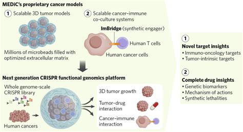 Improving Functional Genomics To Find Novel Gene Targets And Biomarkers