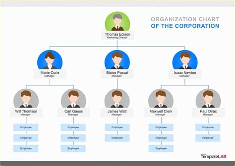 Hierarchy Chart Template Free Of Org Chart Template Beepmunk