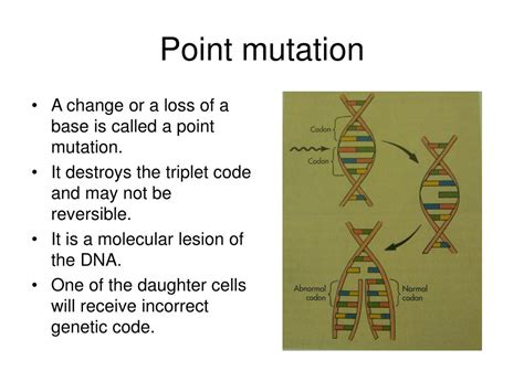 Ppt Chapter 34 Principles Of Radiobiology Powerpoint Presentation