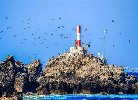 Unidades De Conserva O Marinhas Brasileiras Apa Do Arquip Lago De S O