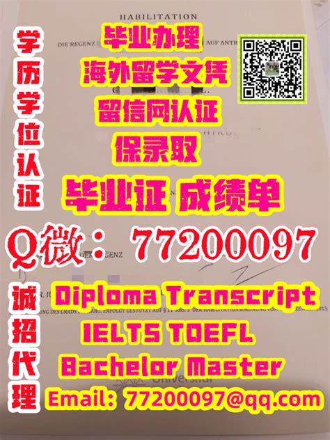 Basel Q Wechat Basel Diploma Degree