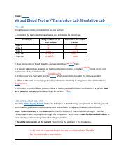 Dana Al Zibdeh Virtual Blood Typing Lab AS Docx Pdf Name Virtual