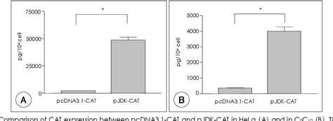 Figure From A Simple Quantitative Method For Assessing Angiogenic