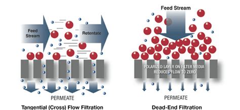 Comparison Of Tangential Flow Filtration And Normal Dead End Filtration Download Scientific