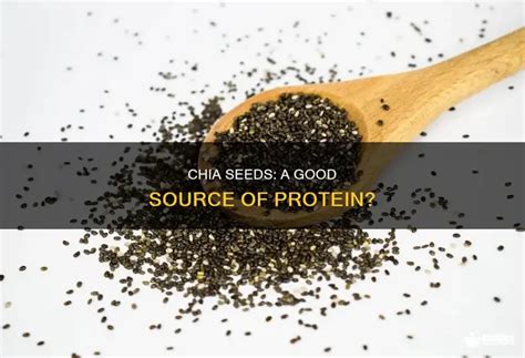 Chia Seeds: A Good Source Of Protein? | MedShun
