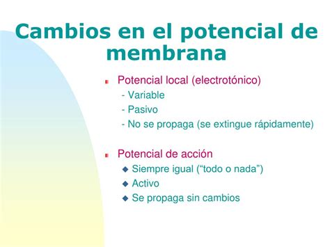 PPT POTENCIAL DE MEMBRANA EN REPOSO Y POTENCIAL DE ACCIÓN PowerPoint