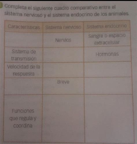 Completa El Siguiente Cuadro Comparativo Entre El Sistema Nervioso Y El