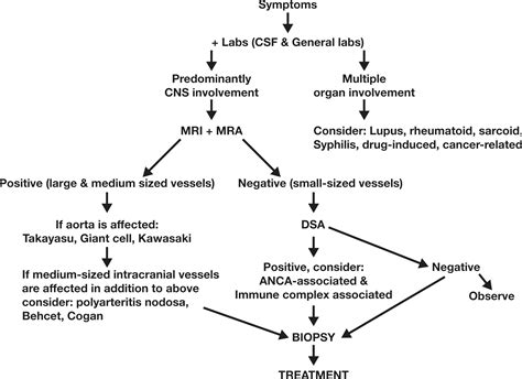 Imaging Spectrum Of Cns Vasculitis Radiographics