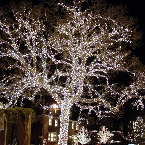 Exterior Residential Christmas Decorating Services