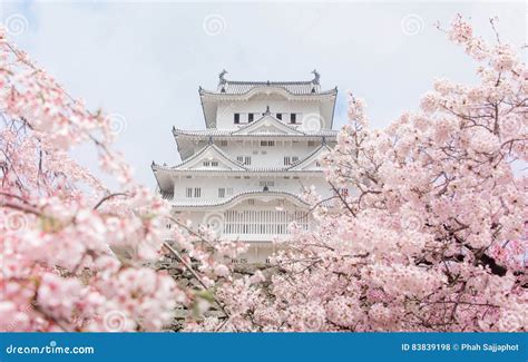 Japan Himeji Castle White Heron Castle In Beautiful Sakura Che Stock