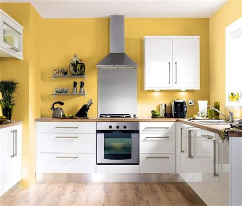 Modern Kitchen Paint Colors Ideas | Cabinets Matttroy