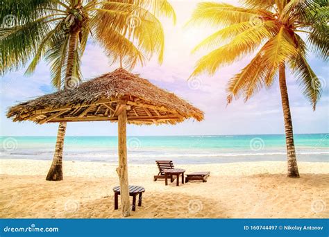 Sun Loungers Under Umbrella On The Sandy Beach With Palms By The Sea