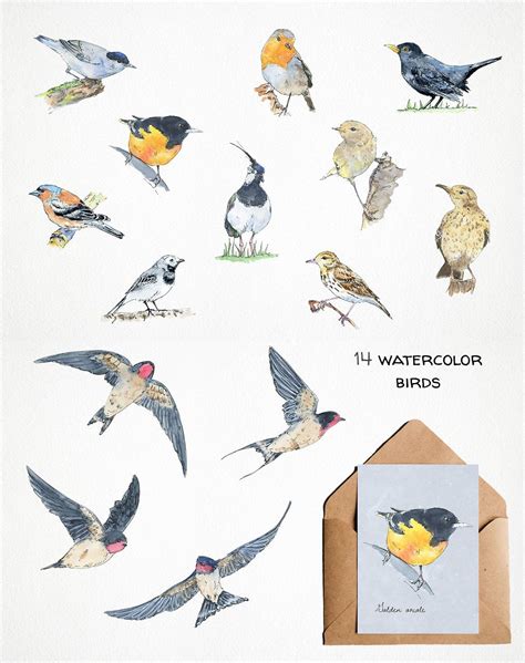 Watercolor Tropical Birds Clipart Masterbundles