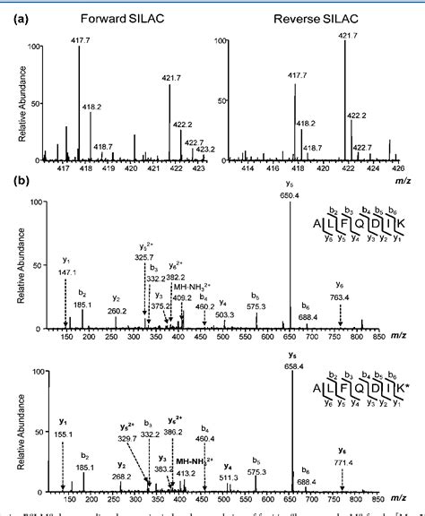 Figure 2 From Silac Based Quantitative Proteomic Analysis Unveils