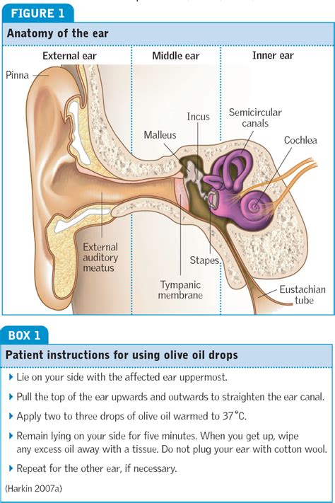 Figure 1 From Safe And Effective Ear Irrigation Semantic Scholar