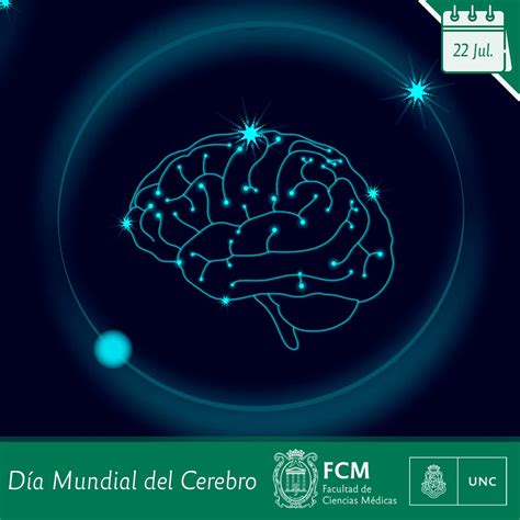 De Julio D A Mundial Del Cerebro Facultad De Ciencias M Dicas