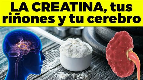 Qu Suplemento Es Mejor Que La Creatina Para Ganar Masa Muscular