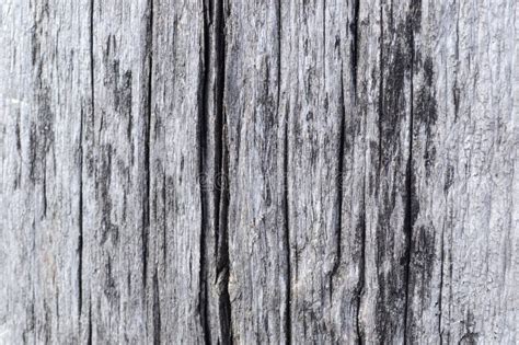 Wooden Texture Wooden Plank Background Natural Materials Plank Wall