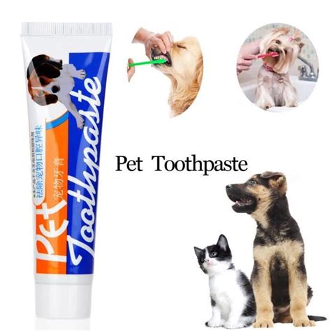 Brosse Dent Et Dentifrice Pour Chien Chien Nouvelles