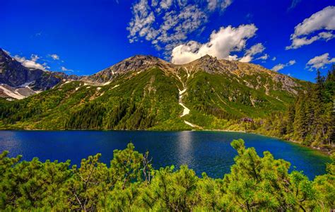 Góry Jezioro Lasy Widok Na Tatry