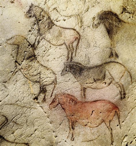 Cave Paintings Horse